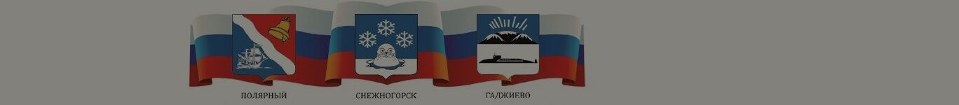 Совет депутатов ЗАТО Александровск Мурманской области